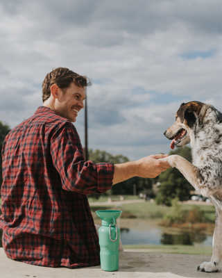 A GUIDE TO SUSTAINABLE DOG OWNERSHIP