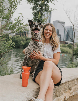 SPRINGER'S DOG GUIDE TO AUSTIN, TEXAS