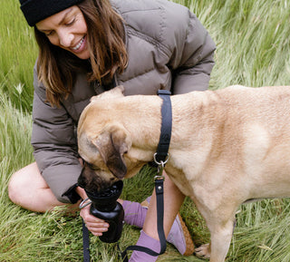 WHICH DOG TRAVEL WATER BOTTLE SIZE IS RIGHT FOR YOUR DOG?