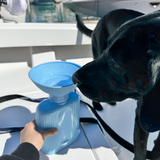 FRIENDS OF SPRINGER: TAYLOR + MARLIN