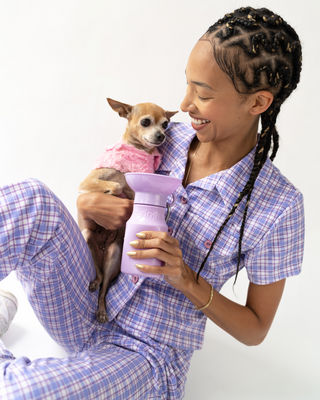 A GUIDE TO DOG SWEATERS & JACKETS