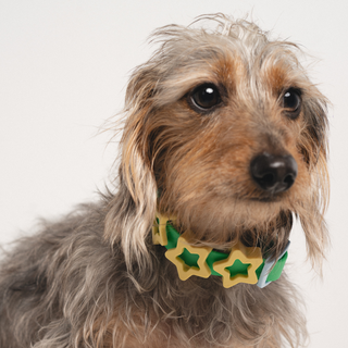 Waterproof Dog Collar