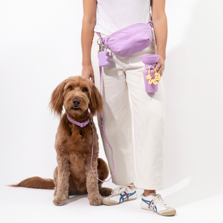 The Complete Hands-Free Dog Walking Bag Set