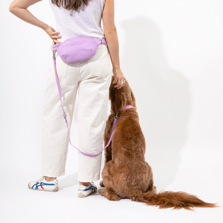 The Complete Hands-Free Dog Walking Bag Set