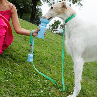 Personalized Waterproof Dog Leash with Charms - 5ft
