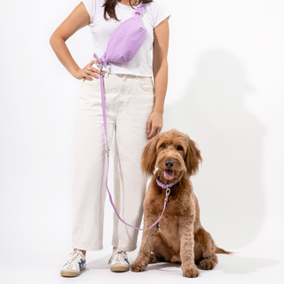 The Complete Hands-Free Dog Walking Bag Set
