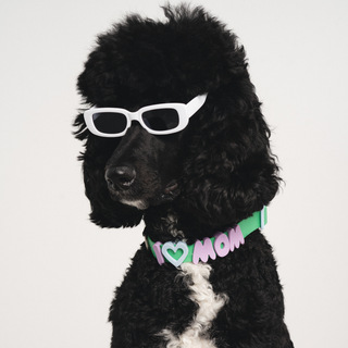 Silicone Dog Charms | Letters & Symbols for Personalized Dog Collars and Leashes - Lilac