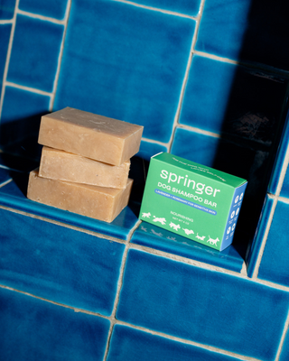 Springer Nourishing Dog Shampoo Bar