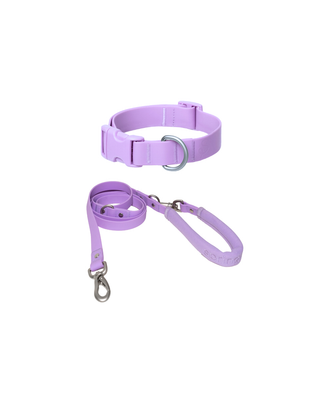 Original Collar + Leash Set