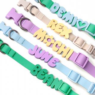 Personalized Waterproof Dog Collar with Charms