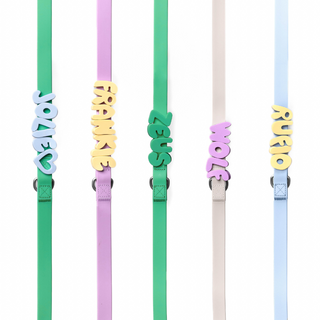 Waterproof Dog Leash - 5ft