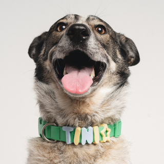 Silicone Dog Charms | Letters & Symbols for Personalized Dog Collars and Leashes - Butter Yellow