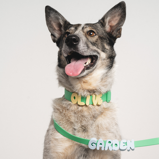 Waterproof Dog Collar