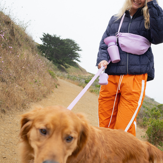 The Complete Hands-Free Dog Walking Bag Set
