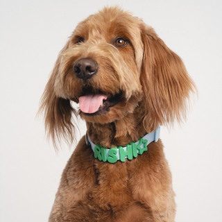 Silicone Dog Charms | Letters & Symbols for Personalized Dog Collars and Leashes - Green