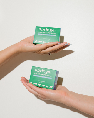 Springer Nourishing Dog Shampoo Bar