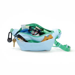 Hands-Free Dog Walking Bag