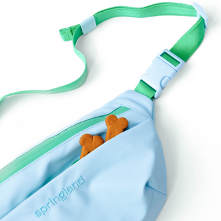 Hands-Free Dog Walking Bag