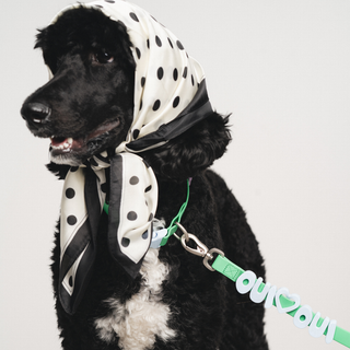 Personalized Waterproof Dog Leash with Charms - 5ft