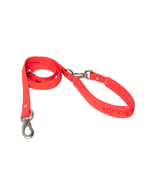 Dog Leash Poppy