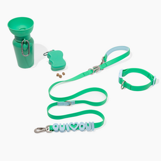 The Complete Dog Walking Set