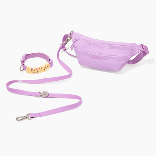 Hands-Free Dog Walking Bag + Collar Set