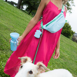 Hands-Free Dog Walking Bag with 3.25ft Leash