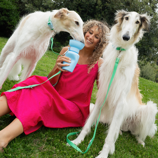 Waterproof Dog Leash - 5ft