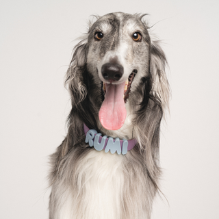 Silicone Dog Charms | Letters & Symbols for Personalized Dog Collars and Leashes - Sky Blue