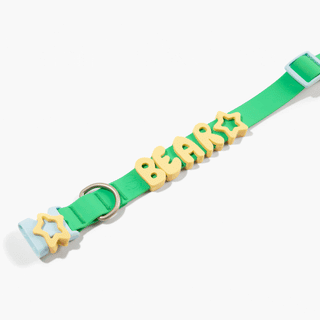 Personalized Waterproof Dog Collar with Charms