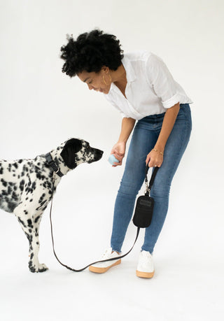 Walk Bag + Dog Leash Black