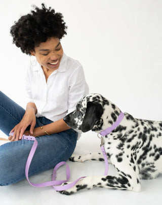 Durable Waterproof Dog Leash Lilac