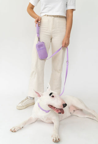Walk Bag + Dog Leash Lilac