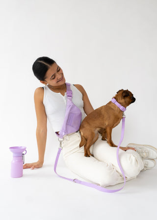 Original Collar + Hands-Free Dog Leash Set