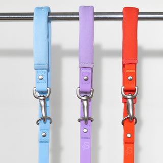 Original Collar + Leash Set