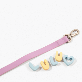 Waterproof City Dog Leash - 3.25ft