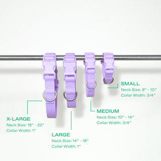 Original Collar + Leash Set