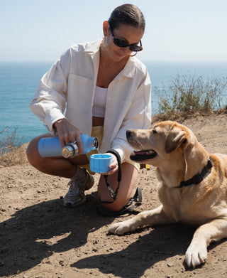 24oz Dog & Me Insulated Water Bottle