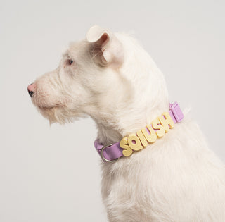 Original Dog Collar