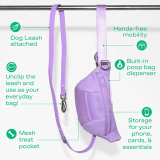 Hands-Free Neoprene Dog Walking Set