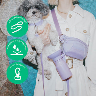 Original Collar + Hands-Free Dog Leash Set