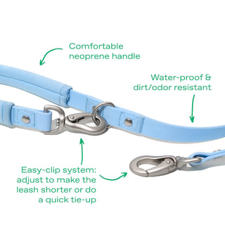 Original Collar + Leash Set