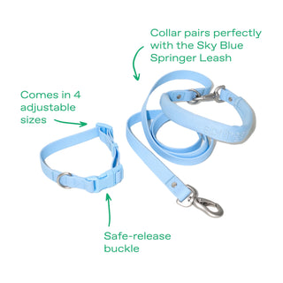 Original Collar + Leash Set