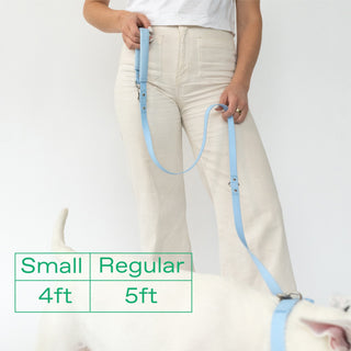 Original Collar + Leash Set