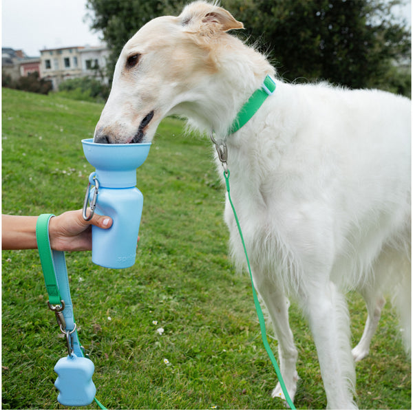 Dog Gifts Under $50