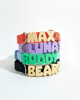 Personalized Original Waterproof Dog Collar with Charms