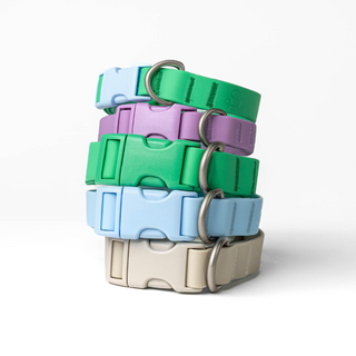 The Complete Dog Walking Set