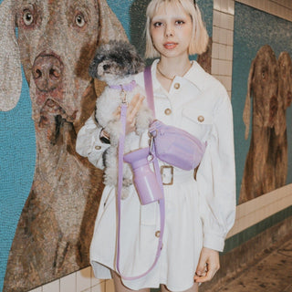 Hands-Free Dog Walk Set