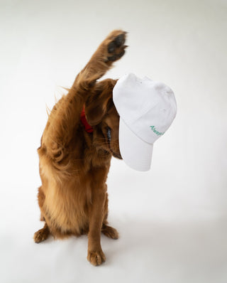 ALWAYS GAME WHITE DAD CAP