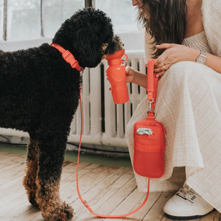 Dog Leash Walk Bag Set